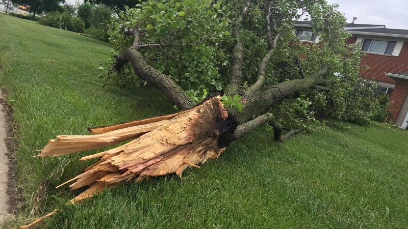 Strong thunderstorms rip through SE Michigan: 28,000 without power, reports of widespread damage in Wayne County