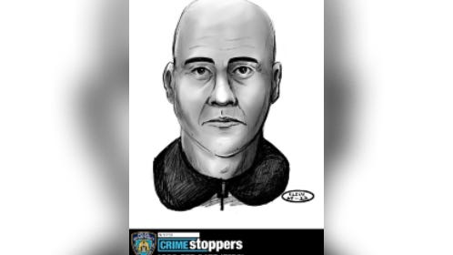 Sex predator assaults girl, 11, at knifepoint on subway train near Yankee Stadium