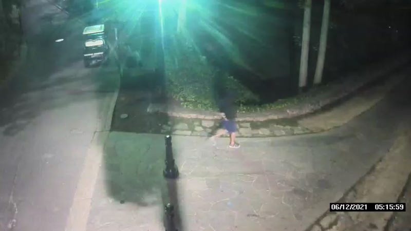 Vandalism suspect