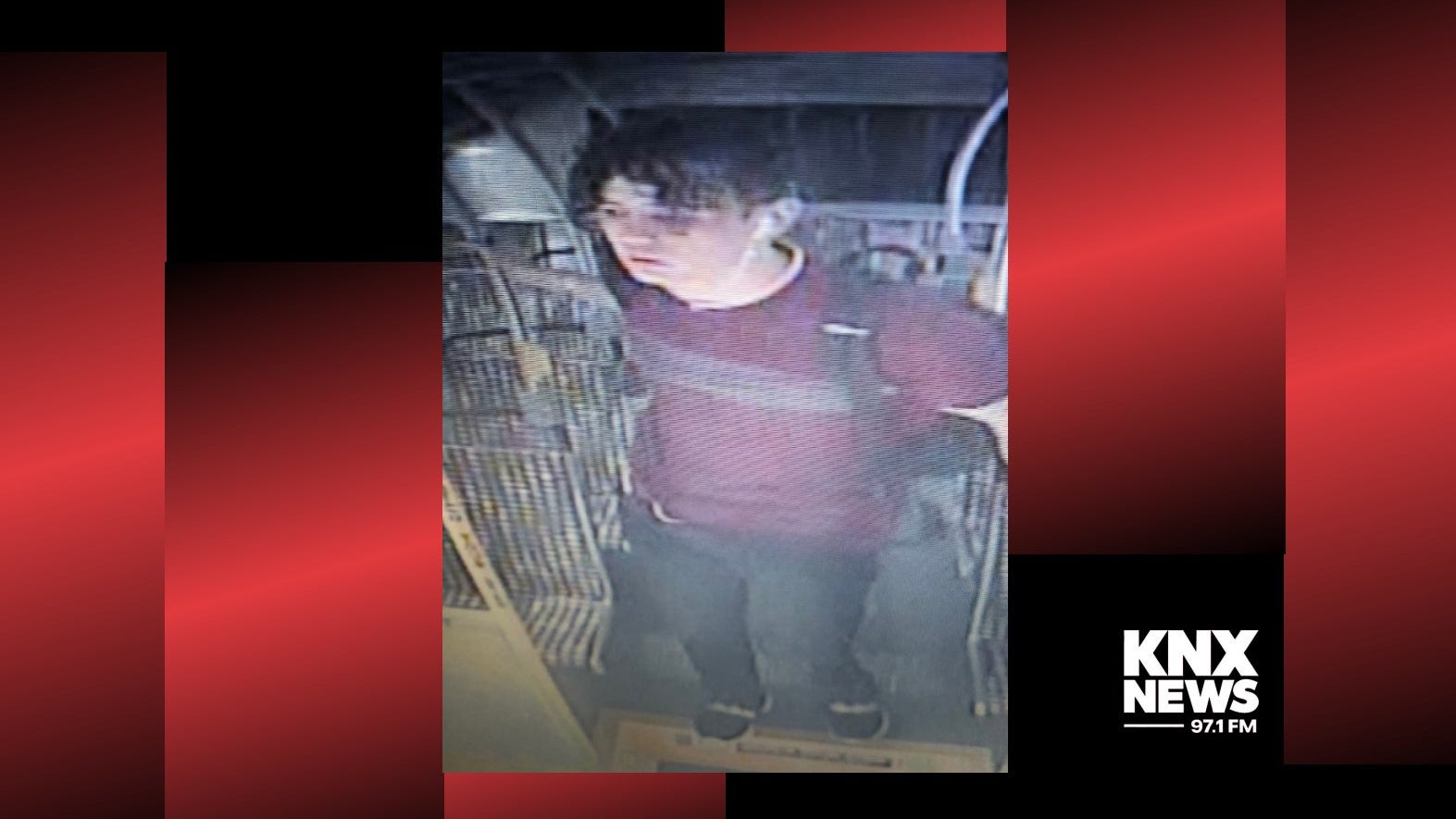 Search underway for man accused of stabbing Metro driver in Woodland Hills
