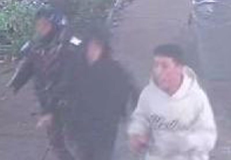 Trio robs woman walking dog at Hudson Yards park