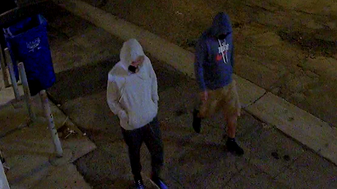 LAPD searching for suspects who stole two exotic birds
