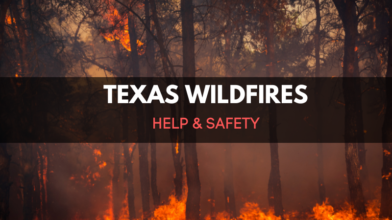 CANVA PRO / Wildfire
