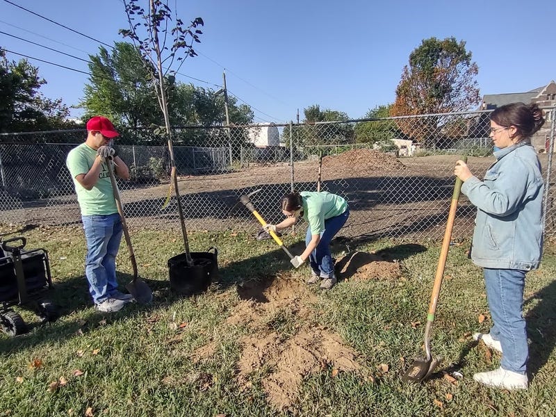 volunteers with the New Jersey Tree Foundation