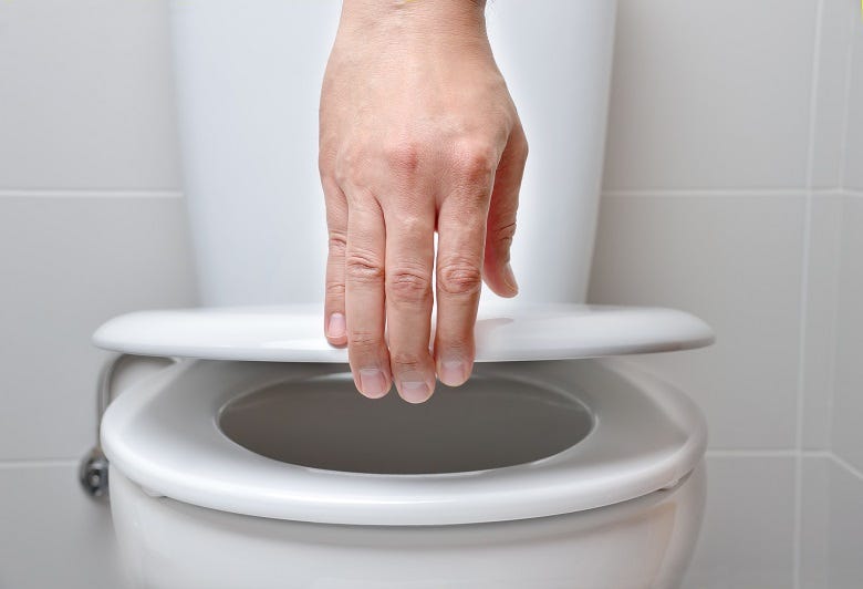 toilet seat