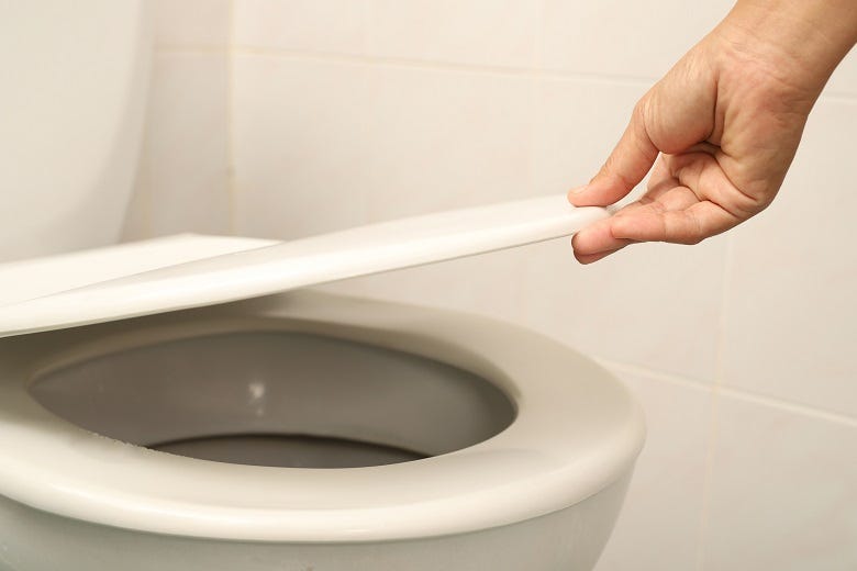 Toilet seat