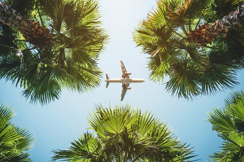 airplane flying over palm trees