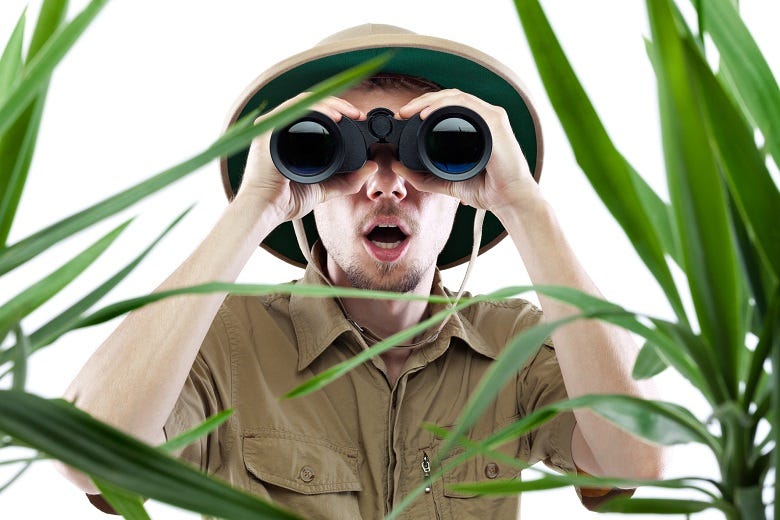 guy looking thru binoculars in jungle 