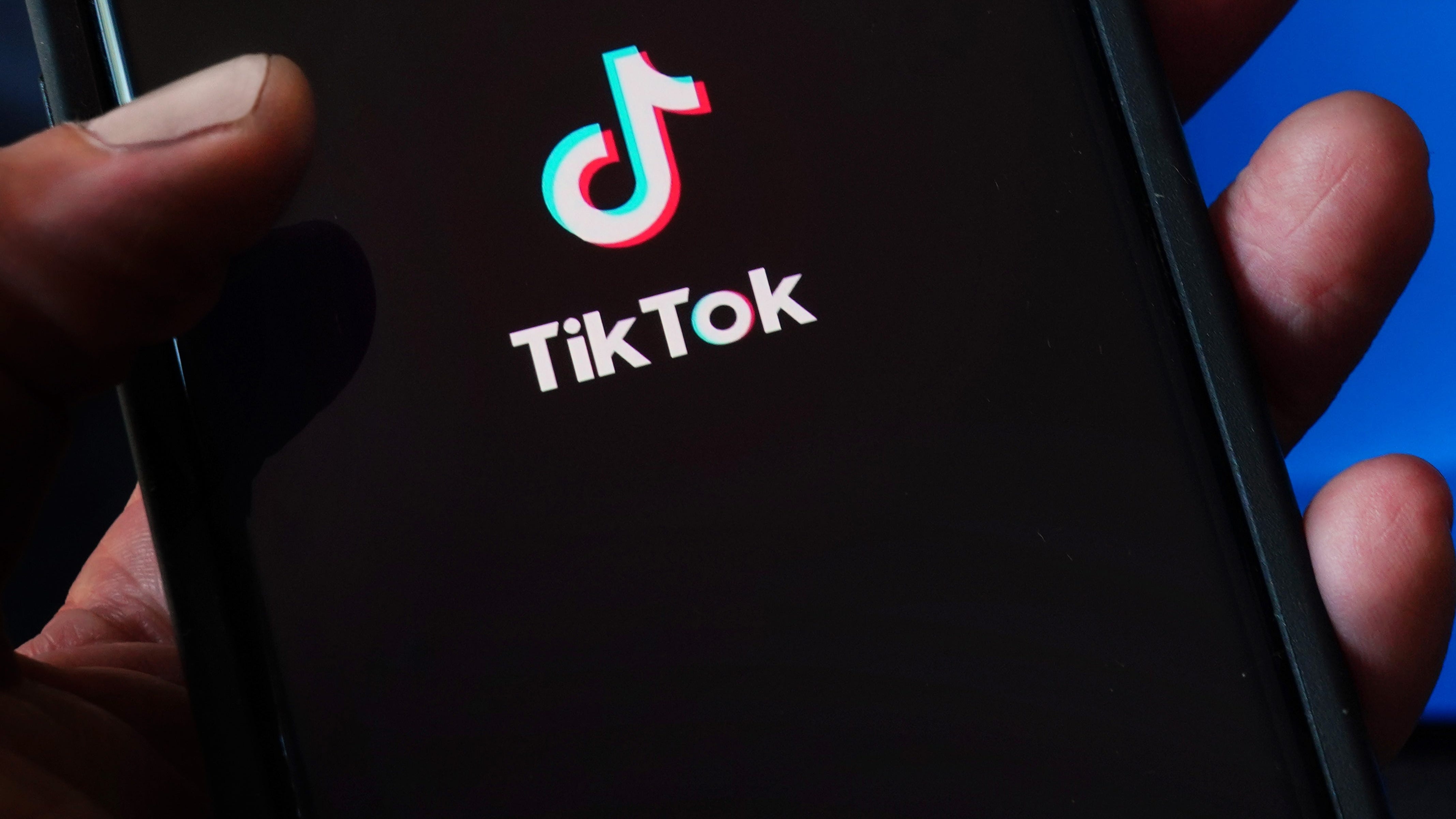Illinois congressman backs TikTok crackdown: 'This is a social media app with a political viewpoint'