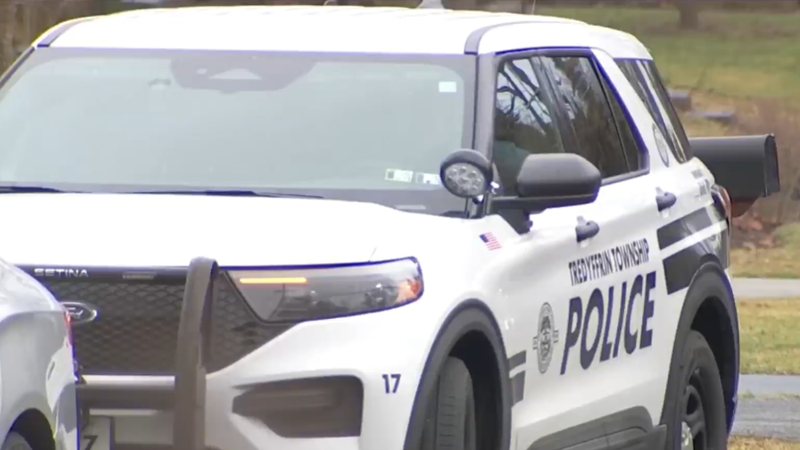 Tredyffrin Township police car