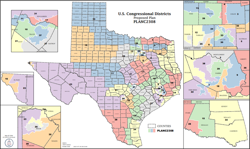 Texas Redistricting Plan C2308