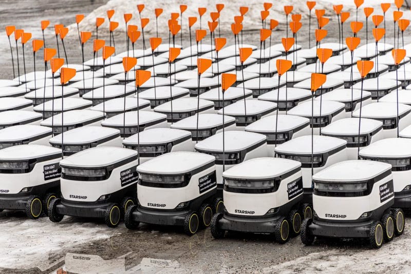 robot food delivery