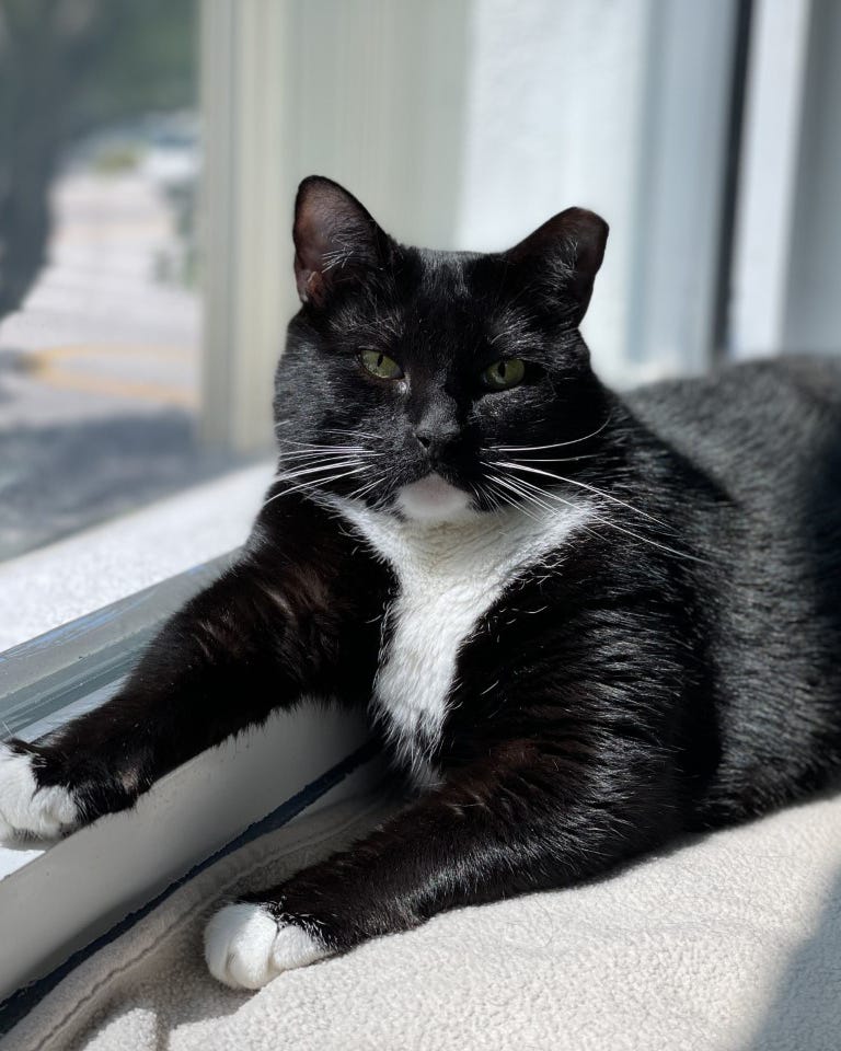 tanzie