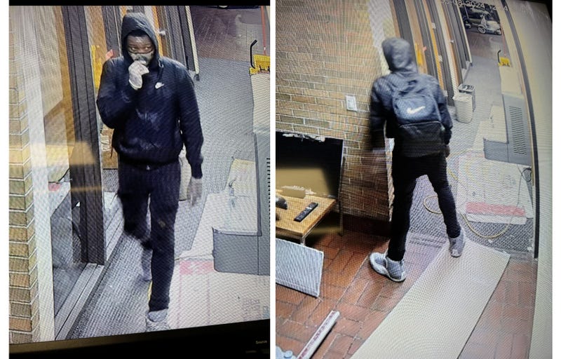 Suspect in Taylor car dealership break-in