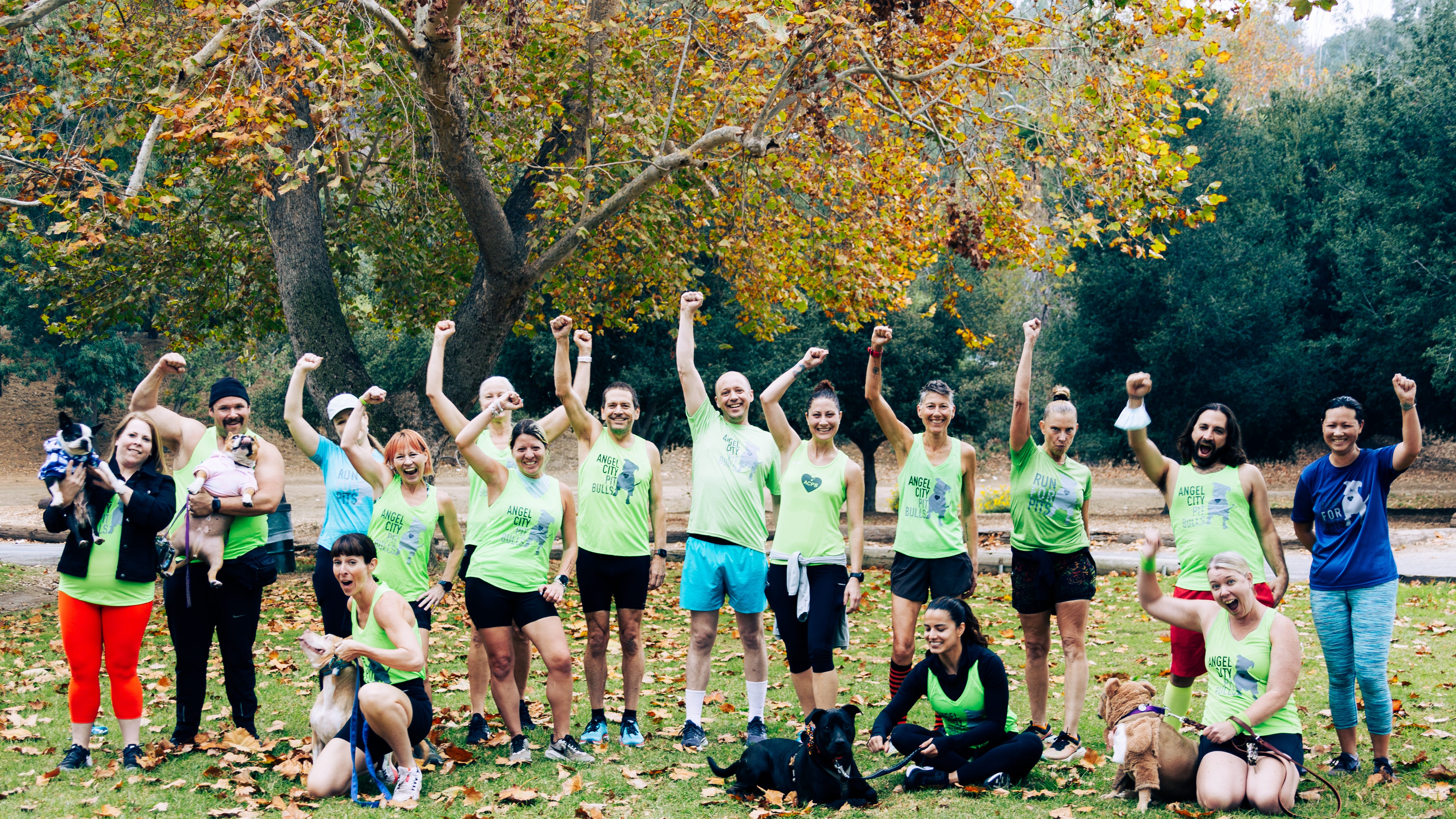 KNX Heroes are running to help the shelter pets of Los Angeles