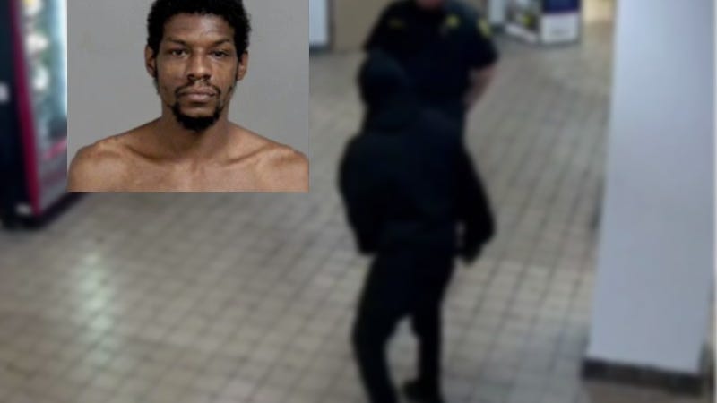 Flint man accused of brutally stabbing woman's dog to death, then fighting deputy in jail lobby
