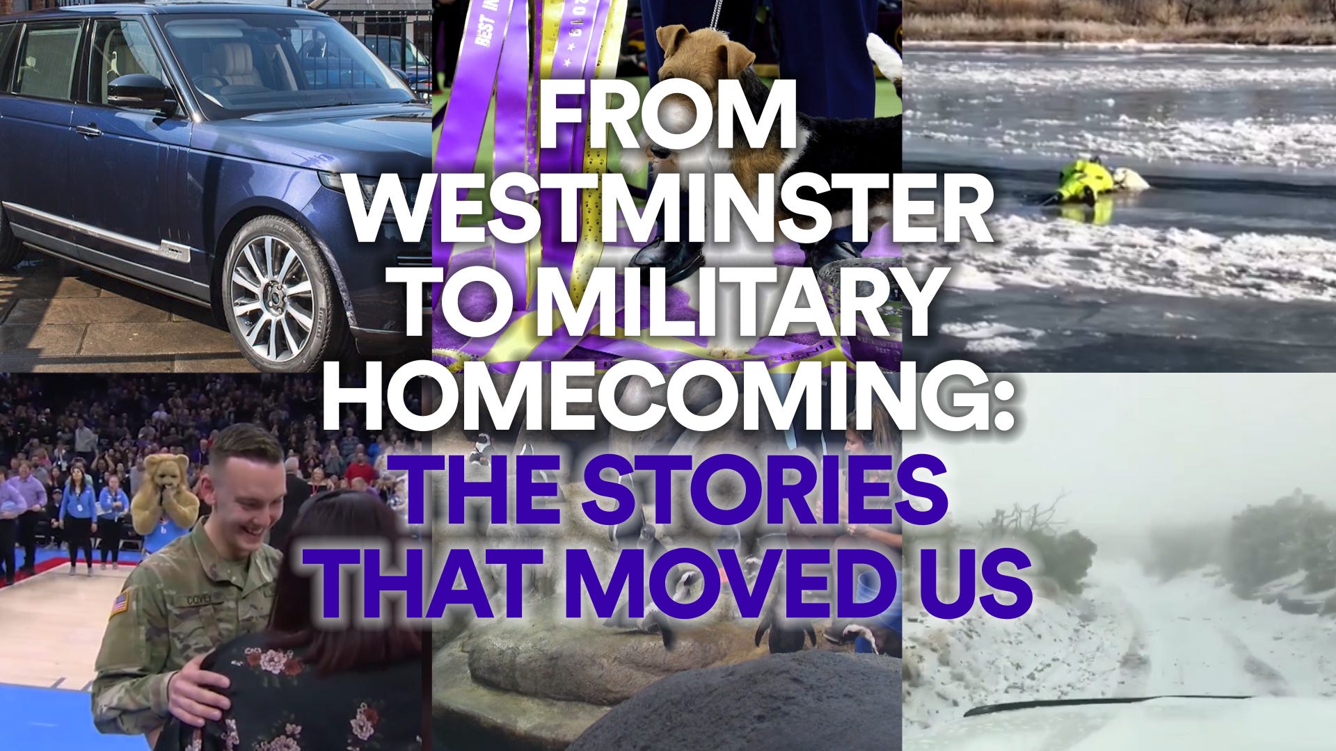 From Westminster to Military Homecoming: The Stories That Moved Us
