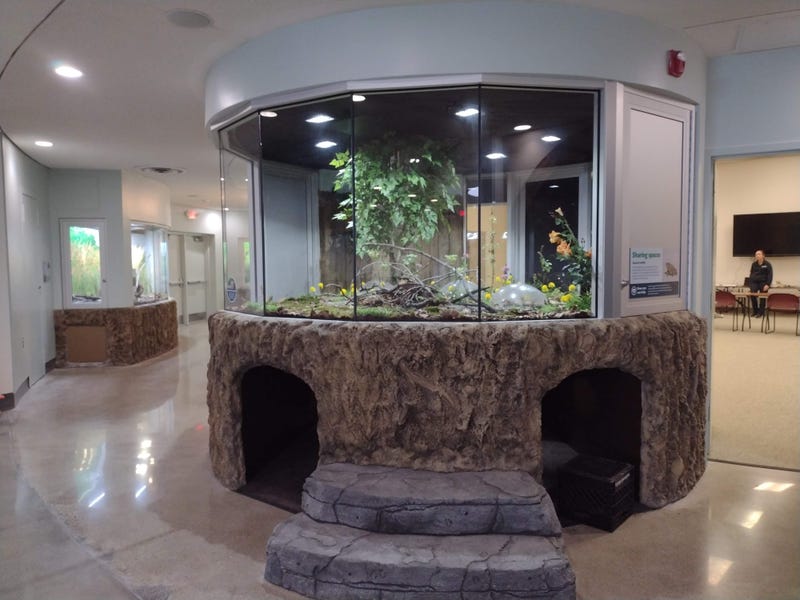 The Belle Isle Nature Center is set to open to the public after undergoing extensive renovations for the past two years, officials announced on Wednesday.