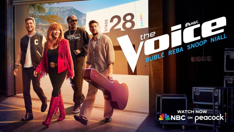 The voice art