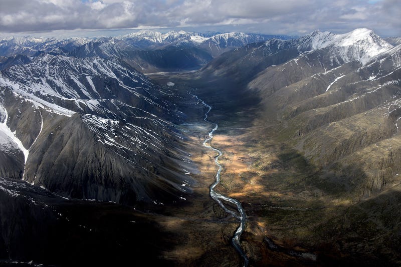 David Thoreson Arctic Wildlife Refuge