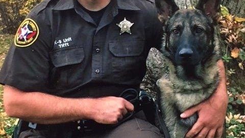 Police dog a ‘hero’ for taking bullet from Chicago murder suspect wounded by Kenosha County deputies: police