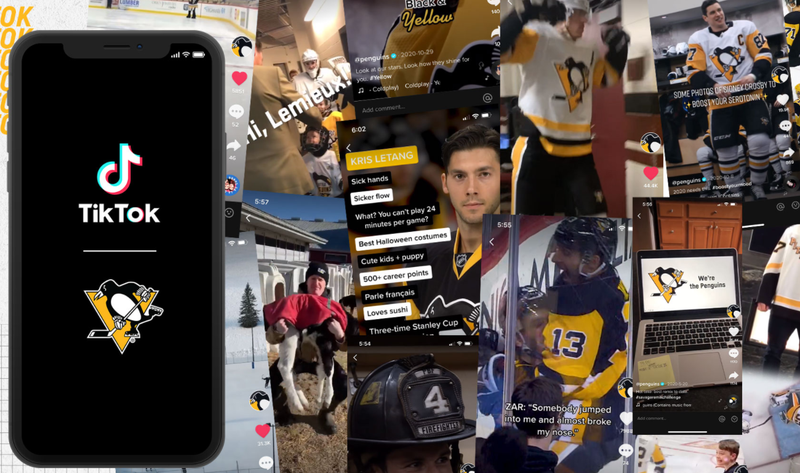 Penguins are on TikTok