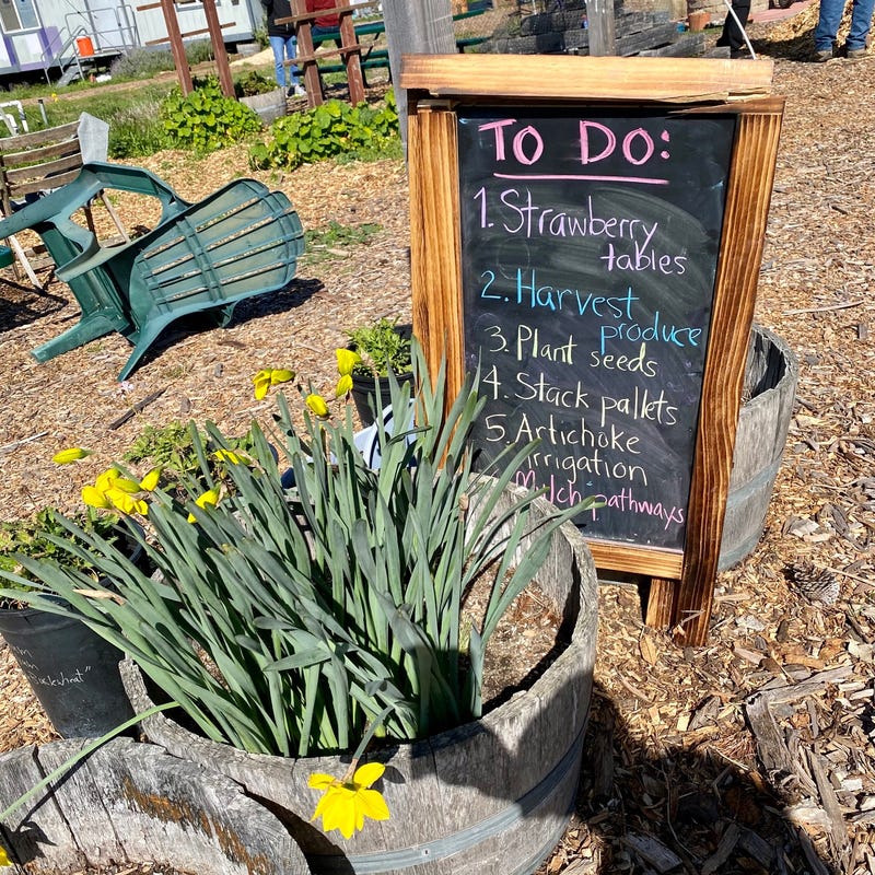 The day's chores spelled out.