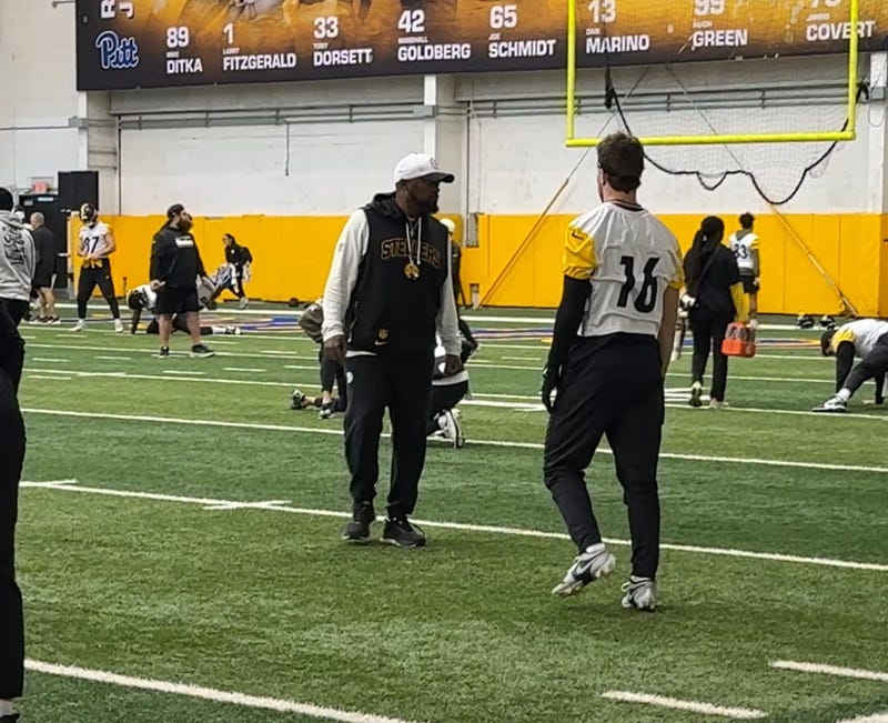 Mike Tomlin and Adam Thielen