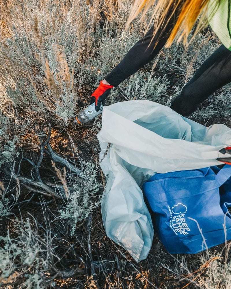 A volunteer cleans up trash in Lake Tahoe.