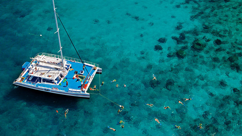 Treasure Seekers Shell Tours