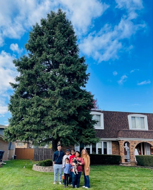 De La Cruz family standing in front family tree