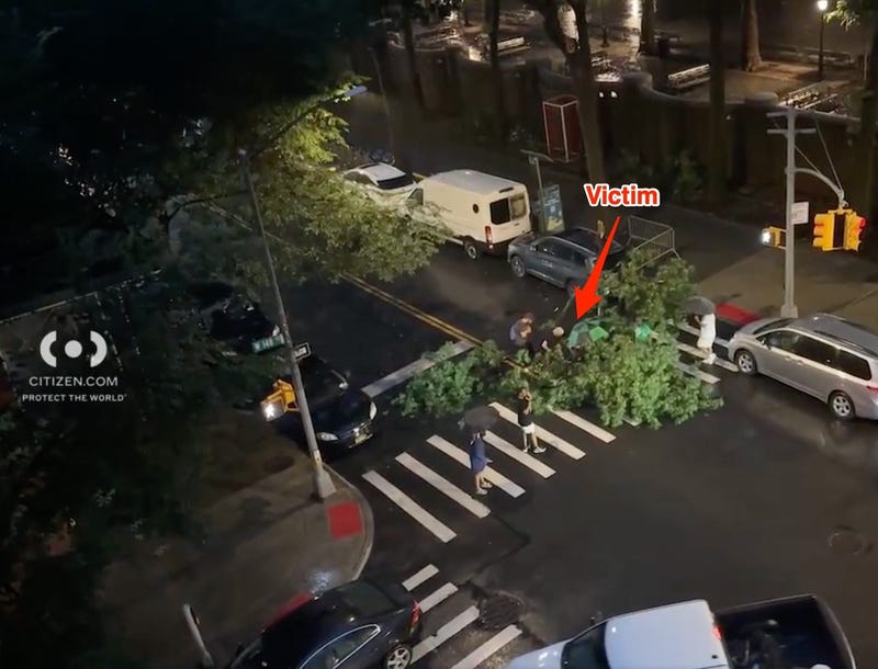 Man's legs broken when tree falls in Harlem during Monday night storms.