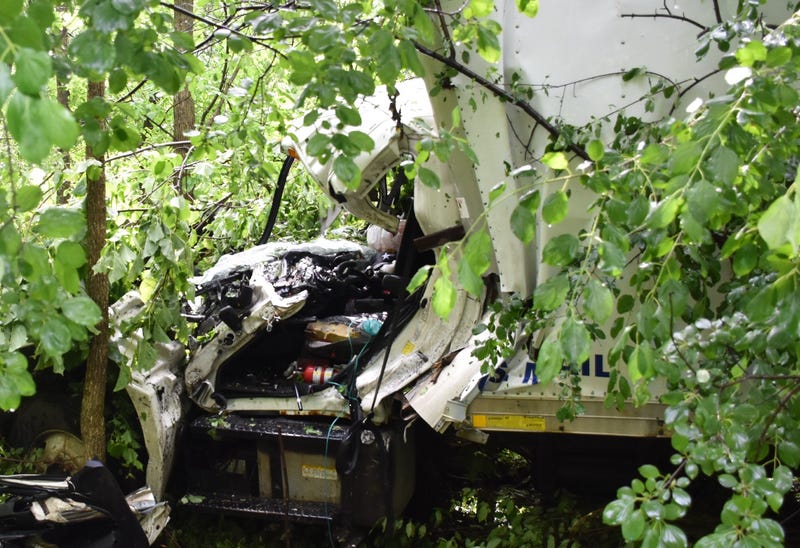 Truck damaged by tree in Highland Township