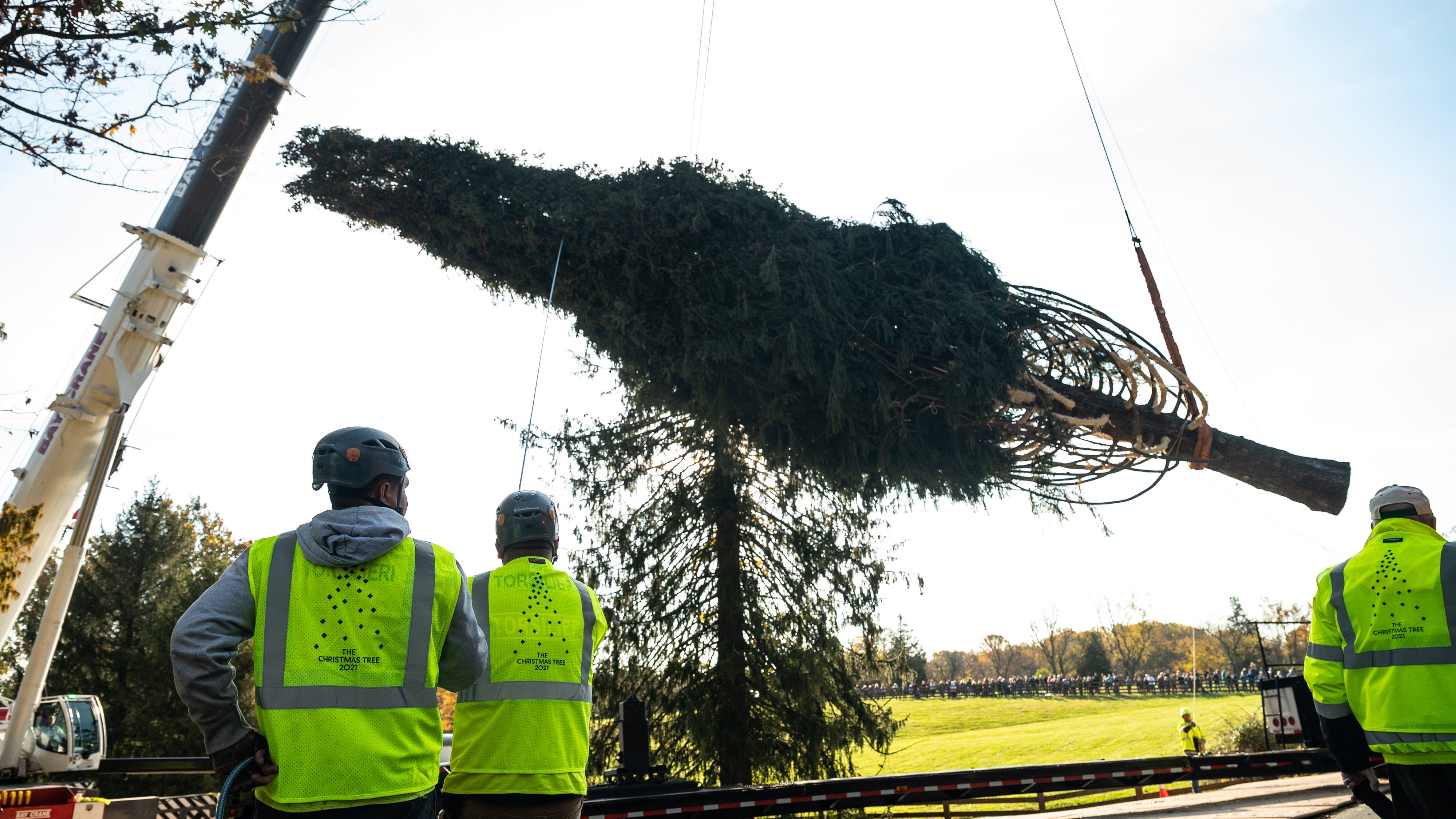 PICS: The Rock Center Christmas Tree is en route to NYC! It arrives Saturday from Maryland