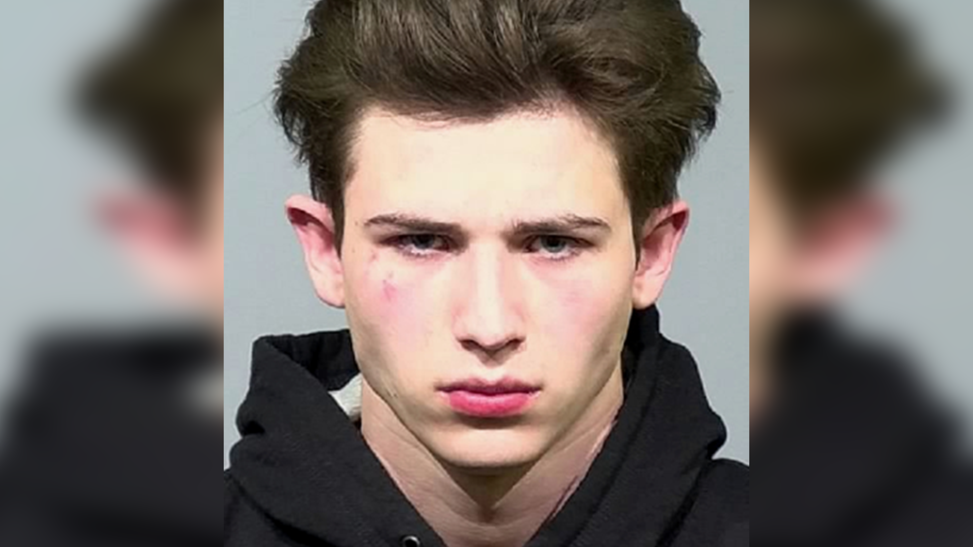 Police: Drunk driver struck horseback rider during Santa Rosa Virgin of Guadalupe procession