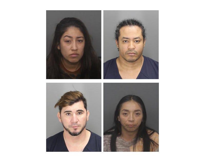 Suspects in Troy home invasion