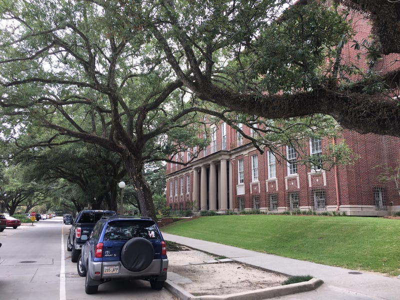 Tulane seeks more diversity in earth science grad programs