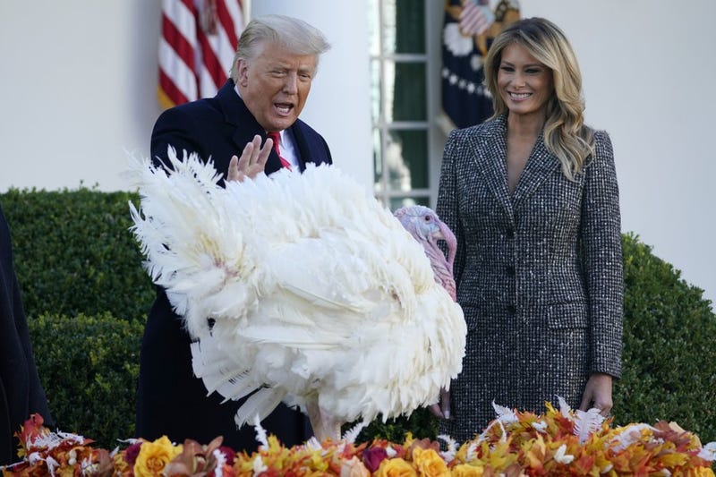 President Donald Trump pardons Corn, the national Thanksgiving turkey, in the Rose Garden of the White House, Tuesday, Nov. 24, 2020, in Washington, as first lady Melania Trump watches.