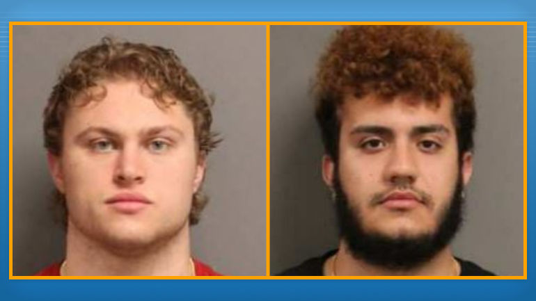 vandalism suspects