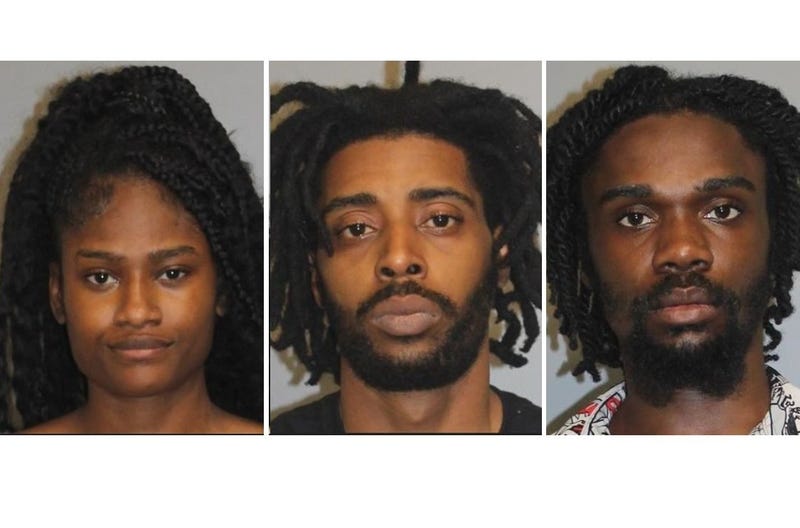 mugshots for three suspects in Shelby Twp case