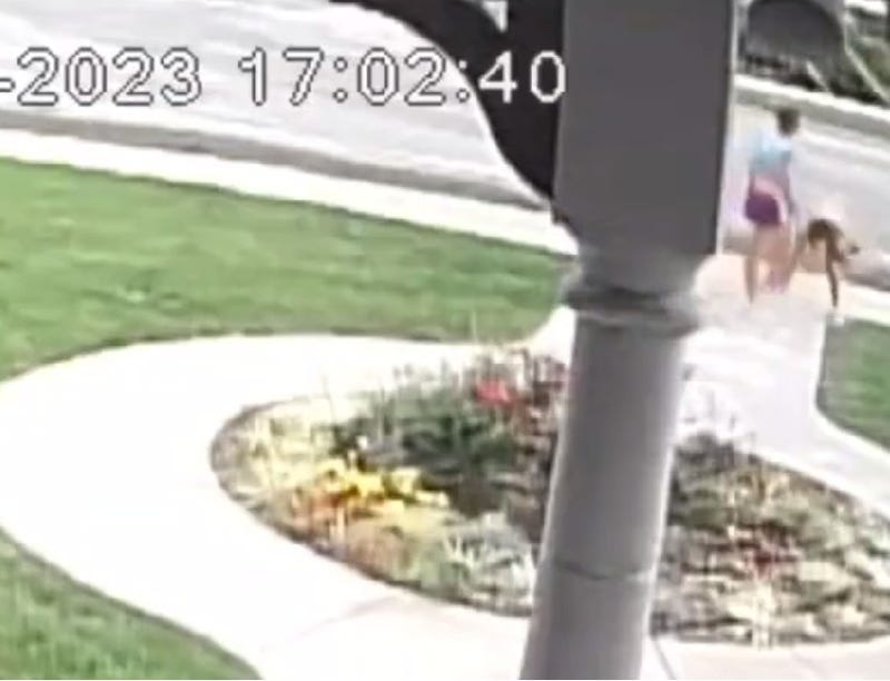 Surveillance video at Jewish Resource Center shows students vandalizing sidewalk