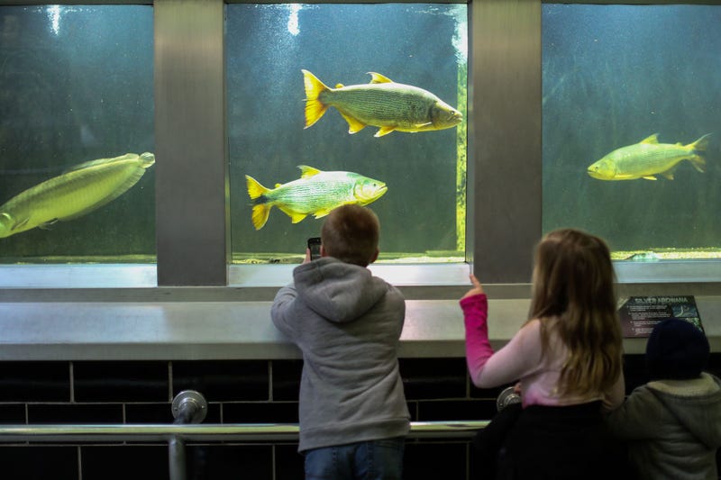 Kids visiting the Belle Isle Aquarium