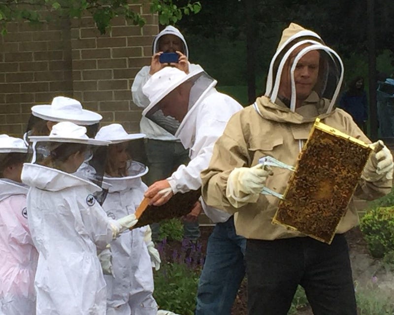 Bees in the D work with Metro Detroit students to educate about beekeeping
