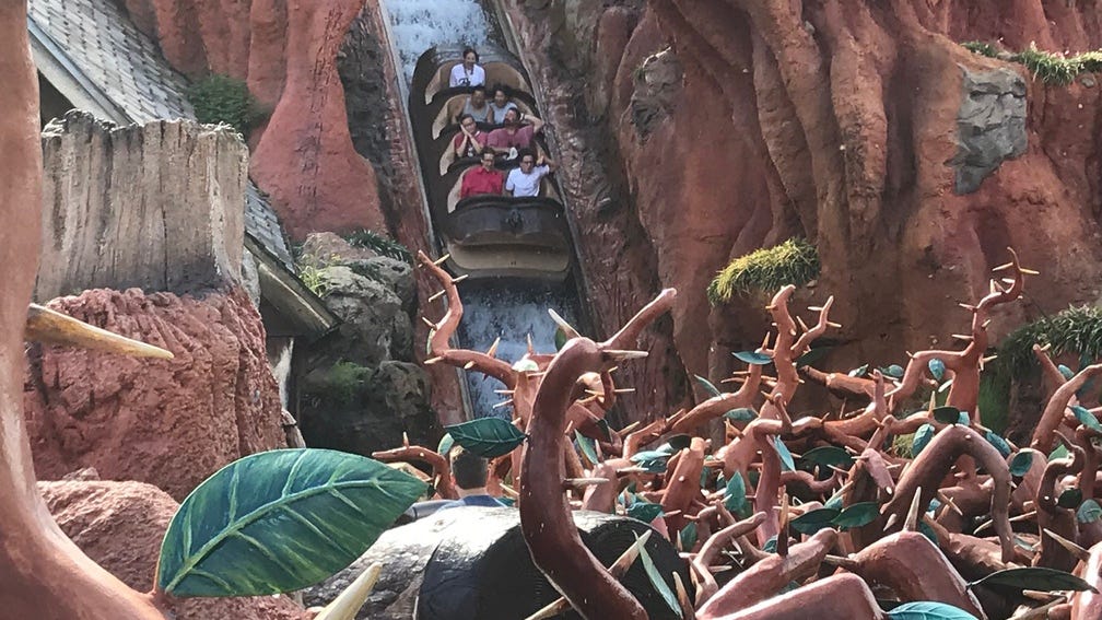Splash Mountain water is for sale on eBay