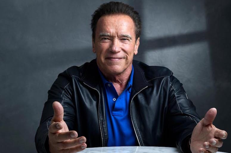 Arnold Schwarzenegger, Portrait