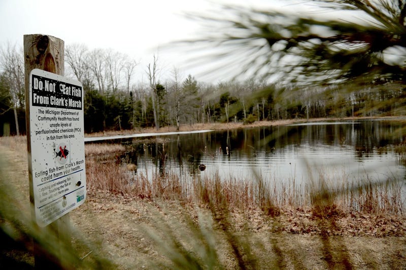 Signs from the Michigan Department of Community Health warn to not eat fish from Clark's Marsh in Oscoda on the grounds of the decommissioned Wurtsmith Air Force Base due to unsafe levels of PFCs in fish and the surface water.