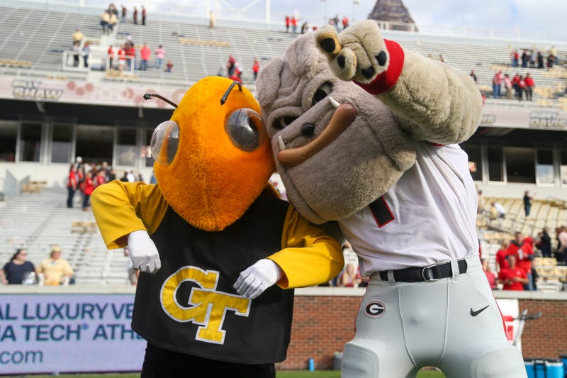 Georgia Tech Yellow Jackets mascot Buzz and Georgia Bulldogs mascot Hairy Dawg after a game at Bobby Dodd Stadium.