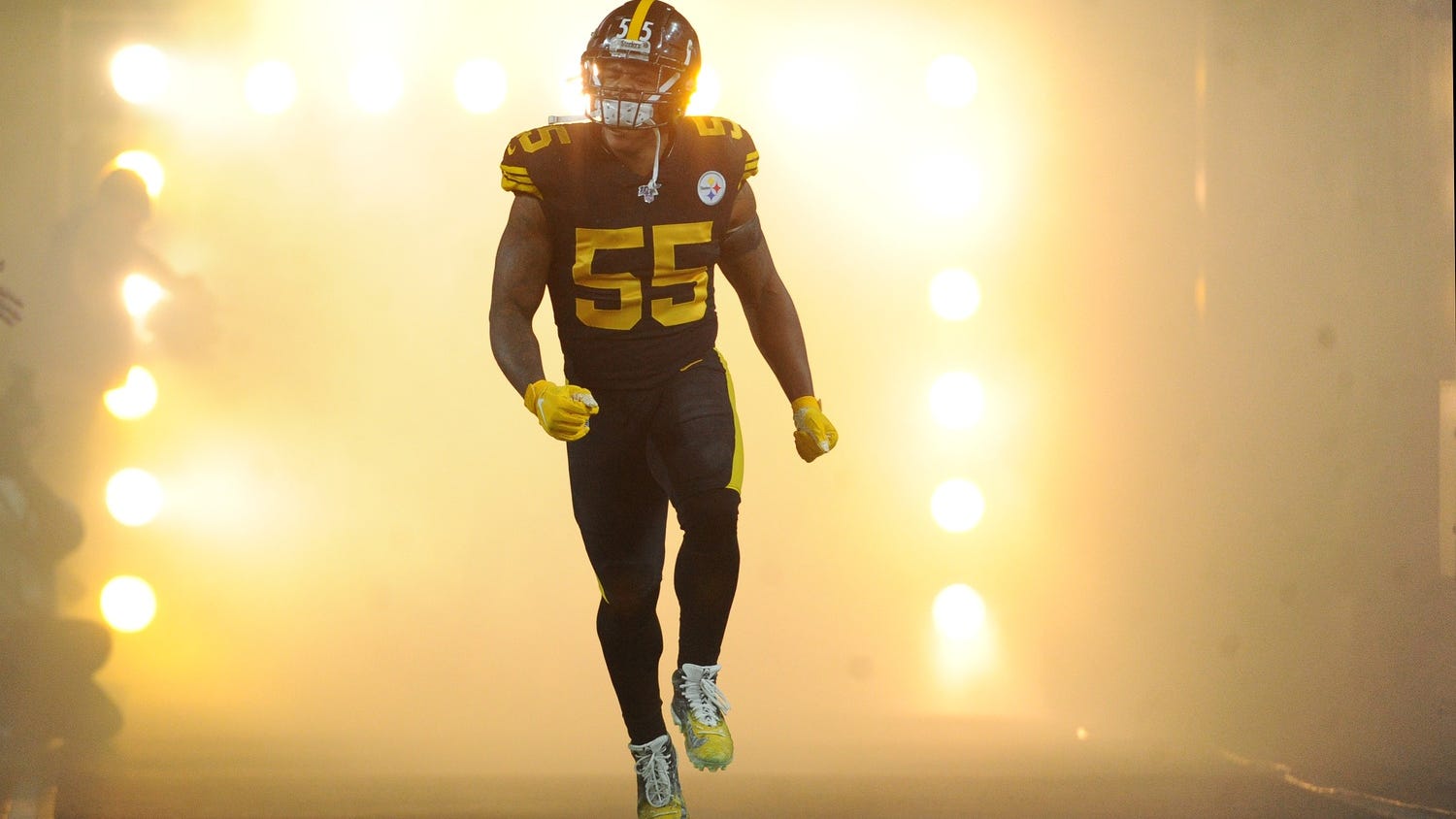 Devin Bush sparks more outrage on Twitter with disturbing cat video