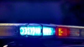 City teacher arrested for assaulting mother during dispute: police