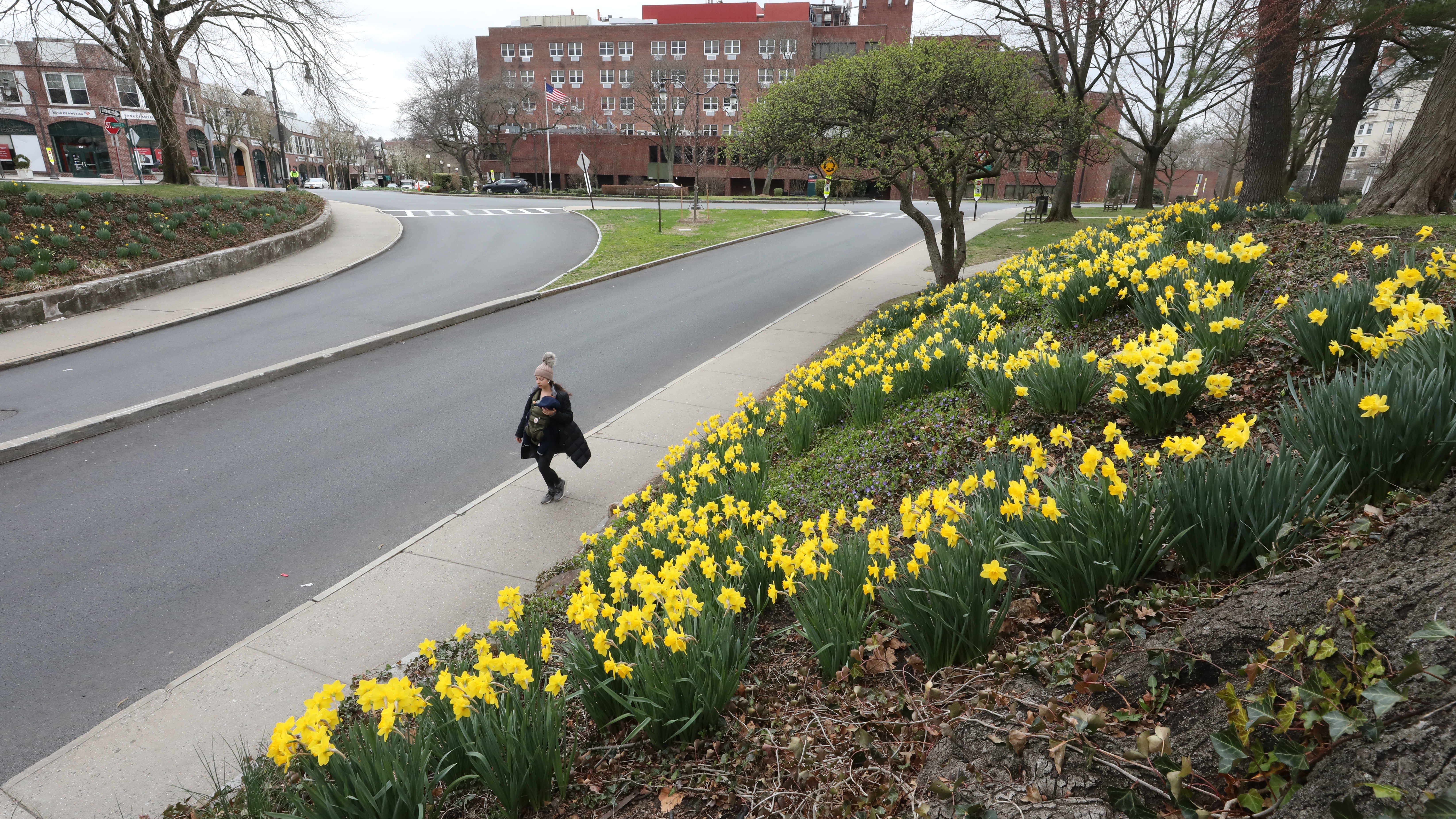 Rich NYC suburbs fight housing plan they say will 'destroy'